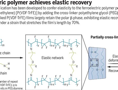  Ferroelectric Polymers: Vật Liệu Hứa Hẹn Cho Các Ứng Dụng Điện Tử Nâng Cao!