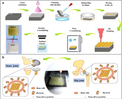  Fibrin: Unveiling the Secrets of a Biomaterial Wonder for Wound Healing Applications!