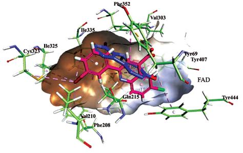  Quinolinic Acid Derivatives: Unleashing the Potential for Next-Generation Biomaterials in Orthopedic Implants!