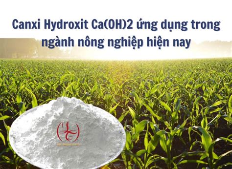  Canxi Hydroxit: Vật liệu quan trọng trong sản xuất xi măng và xử lý nước thải!